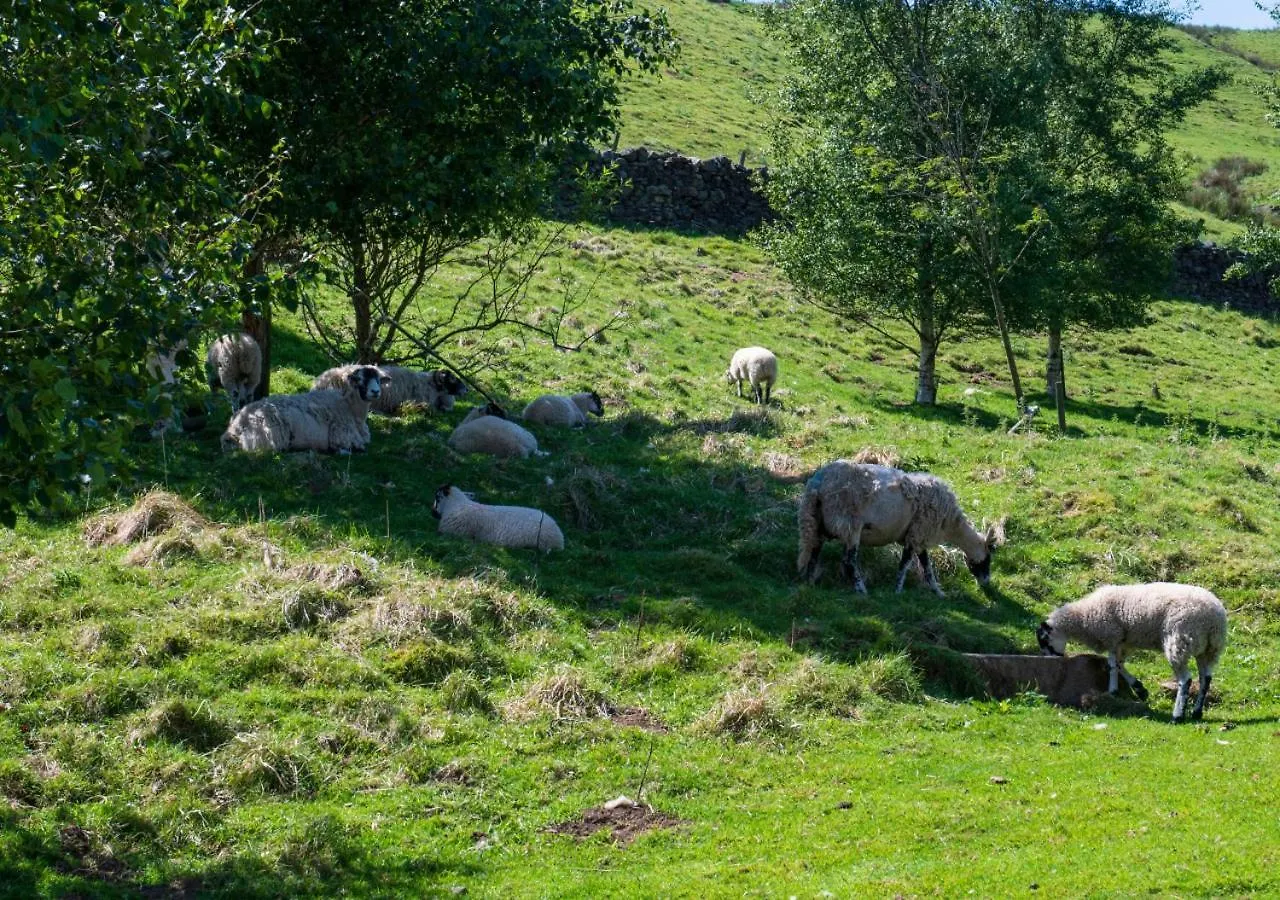 Вилла Throstle Nest Barn Gunnerside Дом отдыха